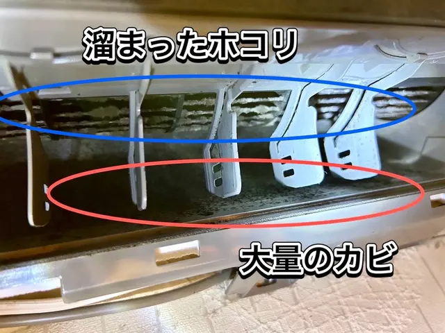 抗菌コート1コインキャンペーン実施中。お子さんやペットも安心の天然洗剤を使用サービスの画像