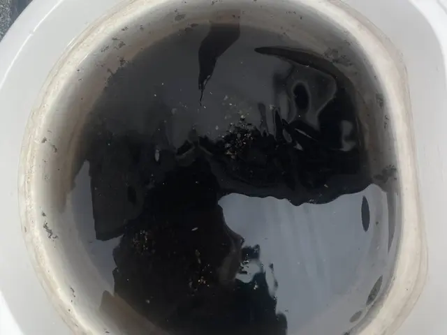 福岡・兵庫在住スタッフ在籍❥今だけ通常1台5500円◤❝1日空❞◢エコ洗剤使用サービスの画像