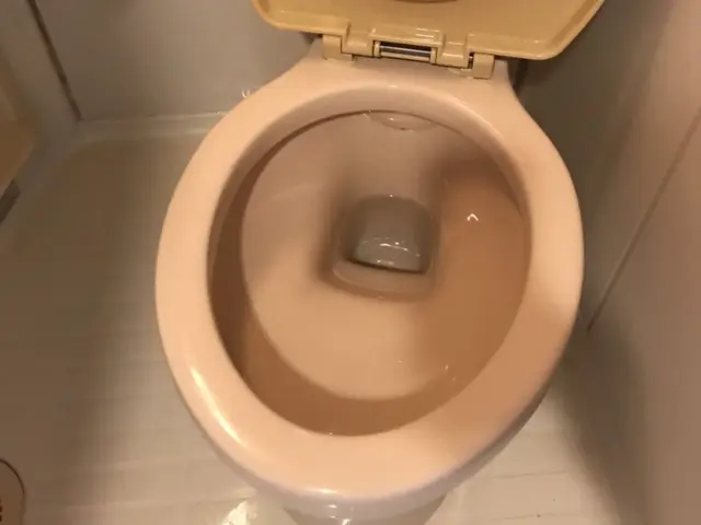 トイレクリーニングで水垢、尿石除去して除菌仕上げサービスの画像