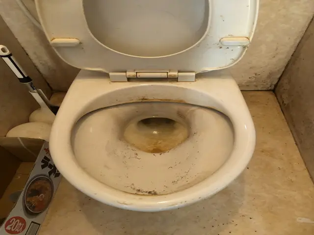 触りたくない汚れはプロにお任せ！！空間除菌も無料！サービスの画像