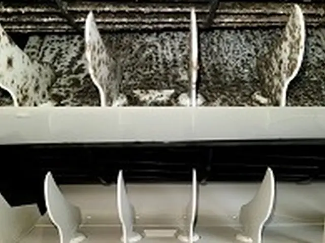 【綺麗】でお客様に感動を！長崎県内評価数1位の口コミを見て、決めて下さい。サービスの画像