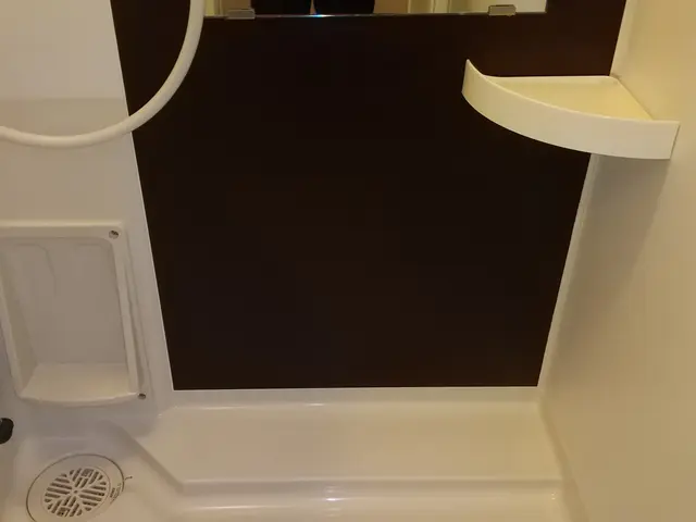 【岩手・盛岡】プロの技術力で、浴室のカビ、石鹸カス・水垢もスッキリ解消致します！サービスの画像