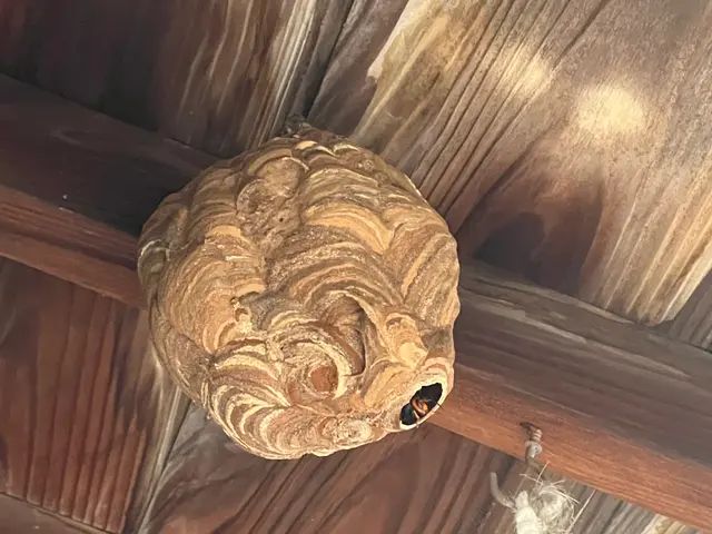 安心事前見積もり！PayPay決済可！安全な暮らしをお届けします。サービスの画像