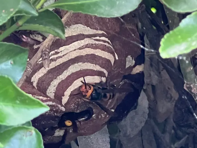 安心事前見積もり！PayPay決済可！安全な暮らしをお届けします。サービスの画像