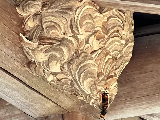 安心事前見積もり！PayPay決済可！安全な暮らしをお届けします。サービスの画像