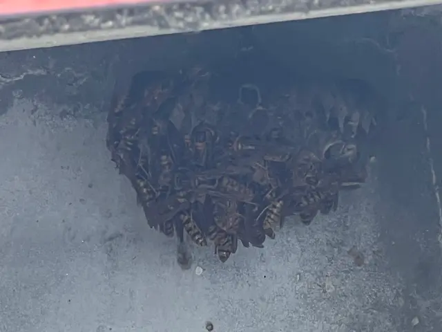 安心事前見積もり！PayPay決済可！安全な暮らしをお届けします。サービスの画像