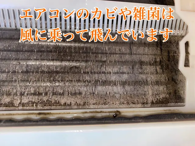 最短予約可能！高圧洗浄でカビを撃退！綺麗好きスタッフにお任せ下さい！サービスの画像