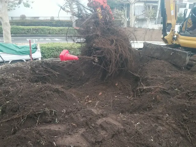 低木～高木伐採・抜根まで、どんな木でも1本からお任せください！サービスの画像