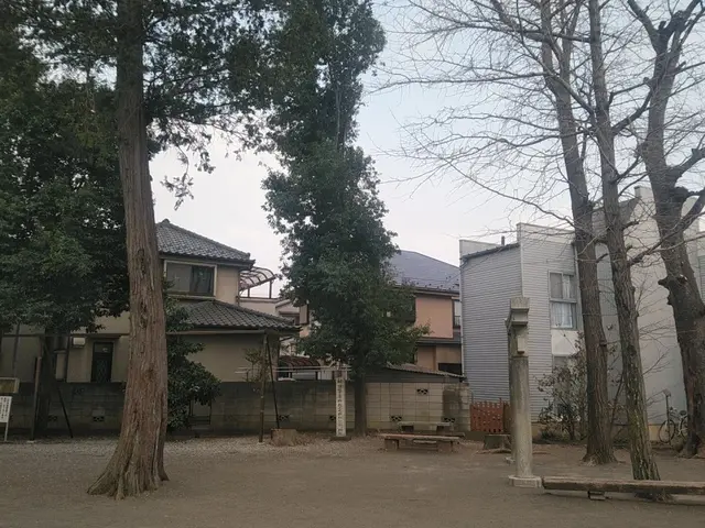 低木～高木伐採・抜根まで、どんな木でも1本からお任せください！サービスの画像