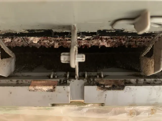 ☆女性スタッフ同行☆2名分担作業☆赤ちゃん、ペット大好きなスタッフがお邪魔しますサービスの画像