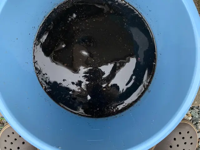 ☆女性スタッフ同行☆2名分担作業☆赤ちゃん、ペット大好きなスタッフがお邪魔しますサービスの画像