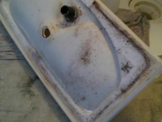 高い技術力と丁寧な対応を心がけております！環境に優しい洗剤で仕上げます。サービスの画像