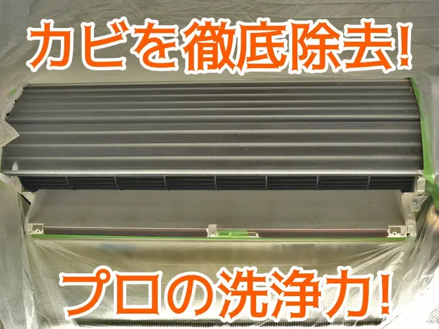 【コロナ対策◎】おそうじ機能付き対応◎抗菌コート無料【除菌サービス◎】サービスの画像