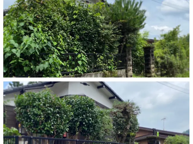 経験を活かしお庭を綺麗にお手入れします！！サービスの画像