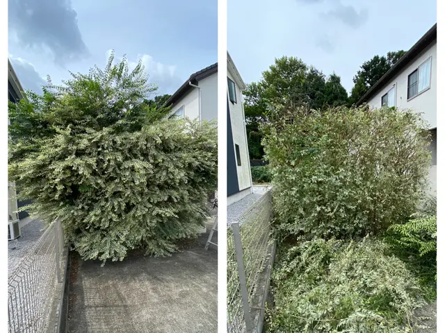 経験を活かしお庭を綺麗にお手入れします！！サービスの画像