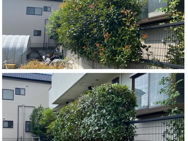 経験を活かしお庭を綺麗にお手入れします！！サービスの画像