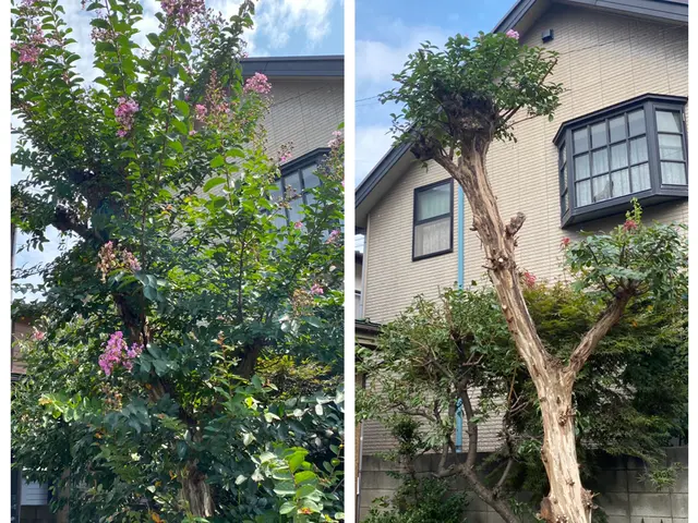 経験を活かしお庭を綺麗にお手入れします！！サービスの画像