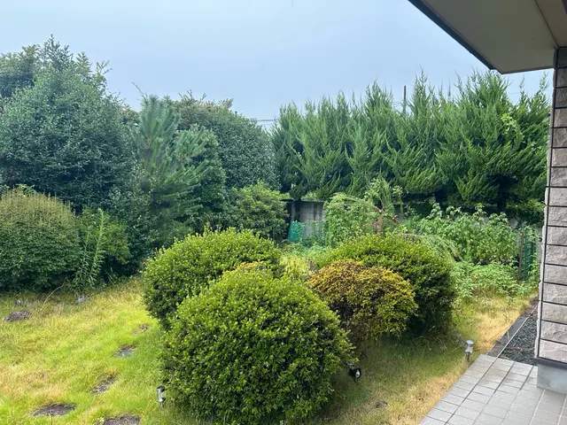 宮内庁•環境省作業実績あり！樹種の特徴を活かして手入れします！サービスの画像