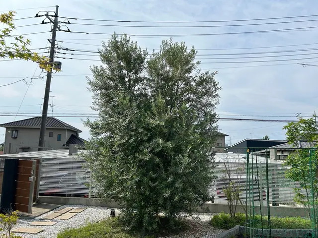 宮内庁•環境省作業実績あり！樹種の特徴を活かして手入れします！サービスの画像