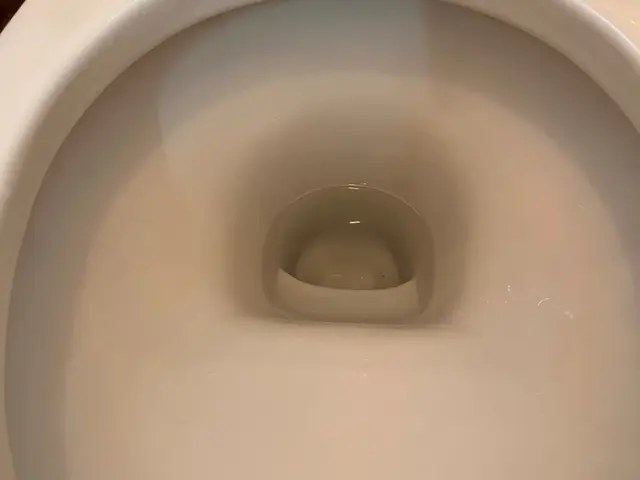 ◎損害保険加入安心◎ エコ洗剤使用！ハウスクリーニング士が伺います！サービスの画像