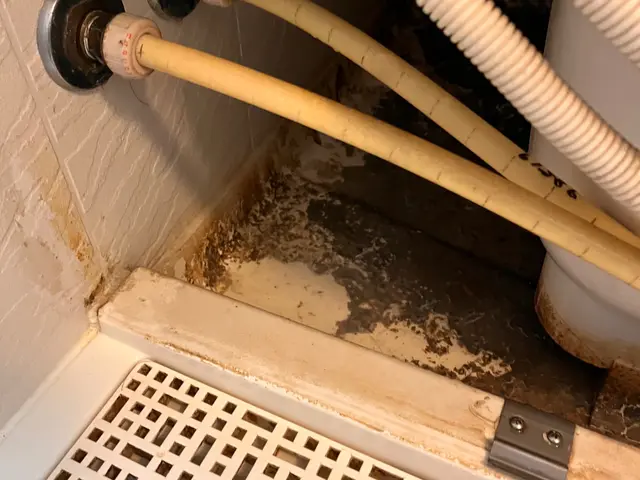 ◎損害保険加入安心◎ エコ洗剤使用！ハウスクリーニング士が伺います！サービスの画像