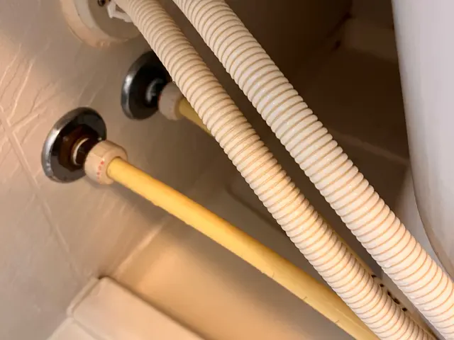 ◎損害保険加入安心◎ エコ洗剤使用！ハウスクリーニング士が伺います！サービスの画像