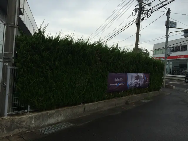 鳥取県西部で活動しています。お客様のご要望通りの仕上がりかしっかり確認します！サービスの画像