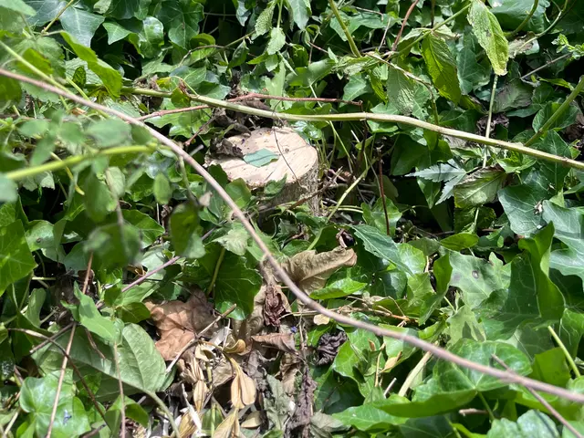 丁寧な接客と迅速施工で、見違えるほど美しい仕上がりをお約束しますサービスの画像