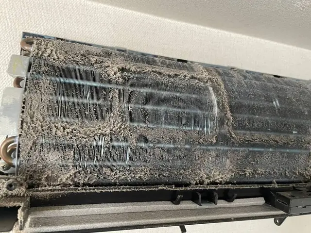 カビ臭い匂いが無くなる！通常エアコンクリーニング（壁掛けタイプ）機能付き対応不可サービスの画像