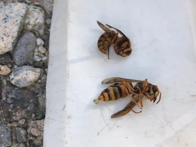 迅速丁寧な対応、高い技術力でスピード解決！サービスの画像