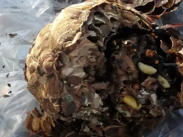 迅速丁寧な対応、高い技術力でスピード解決！サービスの画像