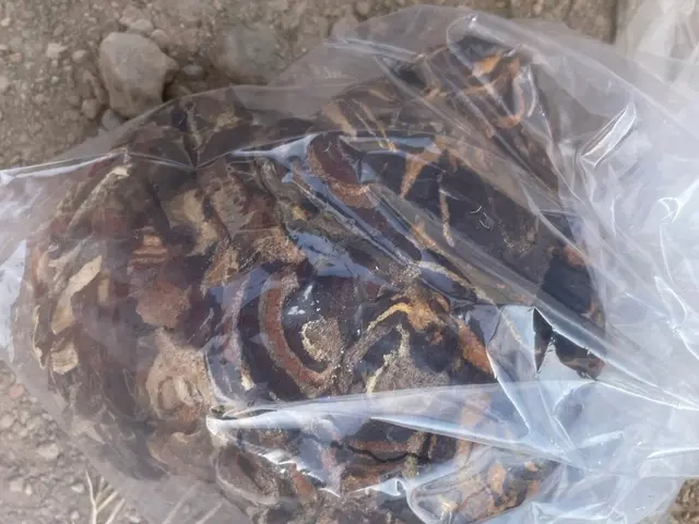 迅速丁寧な対応、高い技術力でスピード解決！サービスの画像