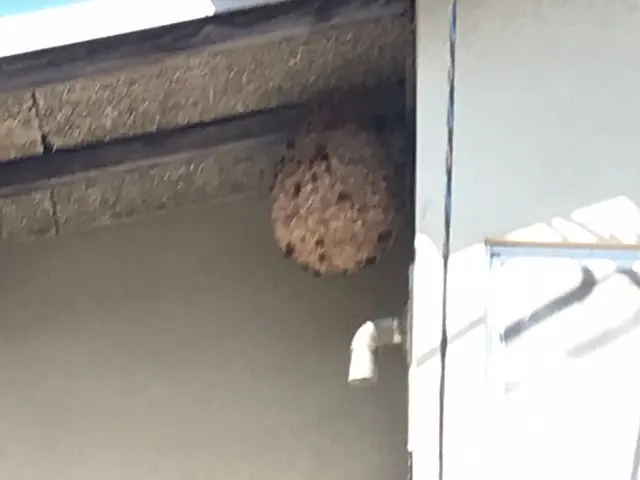 迅速丁寧な対応、高い技術力でスピード解決！サービスの画像