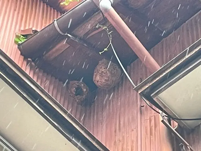 迅速丁寧な対応、高い技術力でスピード解決！サービスの画像