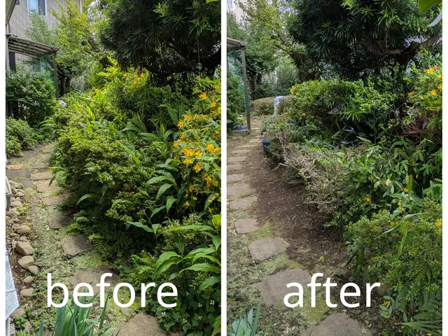 お庭に新しい風を！角型丸型リクエスト可能 生垣・植込みをスッキリ整えます。サービスの画像