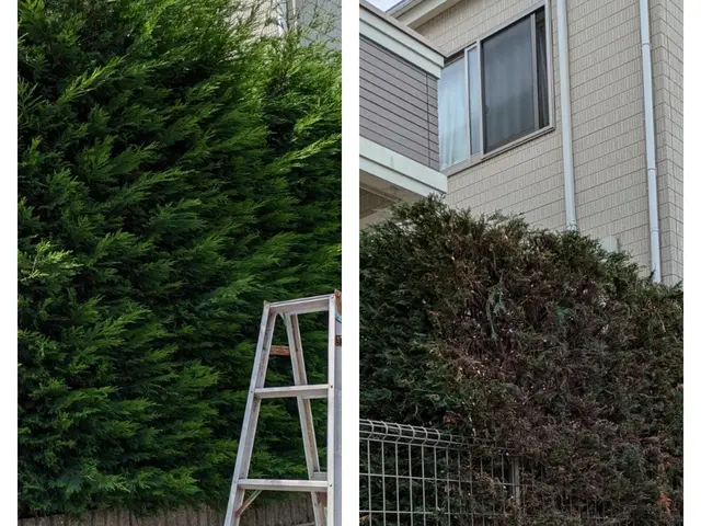 お庭に新しい風を！角型丸型リクエスト可能 生垣・植込みをスッキリ整えます。サービスの画像