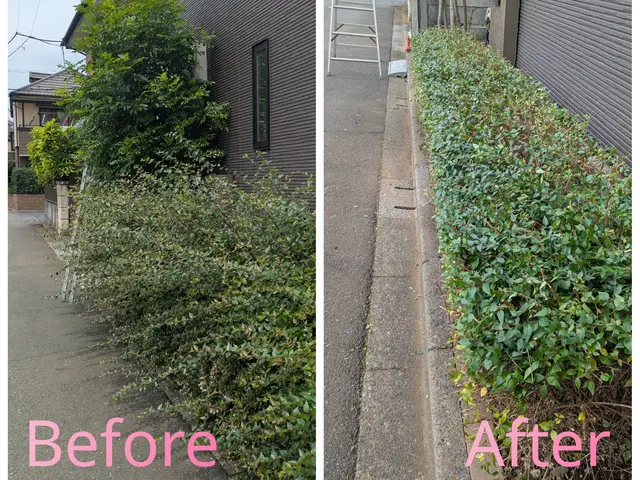 お庭に新しい風を！角型丸型リクエスト可能 生垣・植込みをスッキリ整えます。サービスの画像