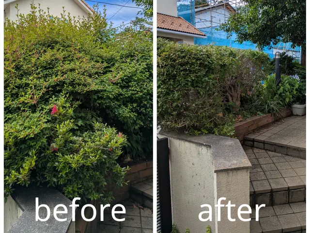 お庭に新しい風を！角型丸型リクエスト可能 生垣・植込みをスッキリ整えます。サービスの画像