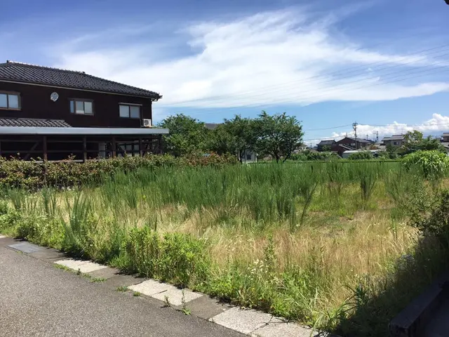 ＜年間200件の実績＞清潔感ある若手スタッフが活躍中！女性スタッフ同行もOK！サービスの画像