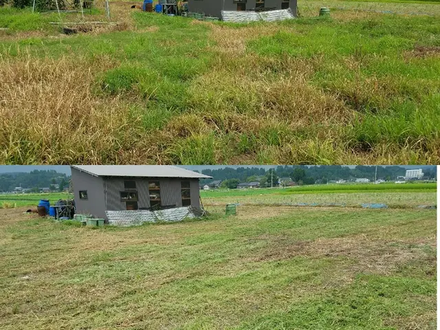 ＜年間200件の実績＞清潔感ある若手スタッフが活躍中！女性スタッフ同行もOK！サービスの画像