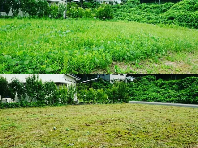 ＜年間200件の実績＞清潔感ある若手スタッフが活躍中！女性スタッフ同行もOK！サービスの画像