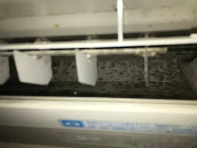 暑くなる前に、クリーニングしませんか。サービスの画像