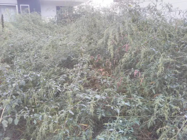 ご予算に応じキレイで丁寧な対応を心掛けています！お気軽にお問い合わせ下さいサービスの画像