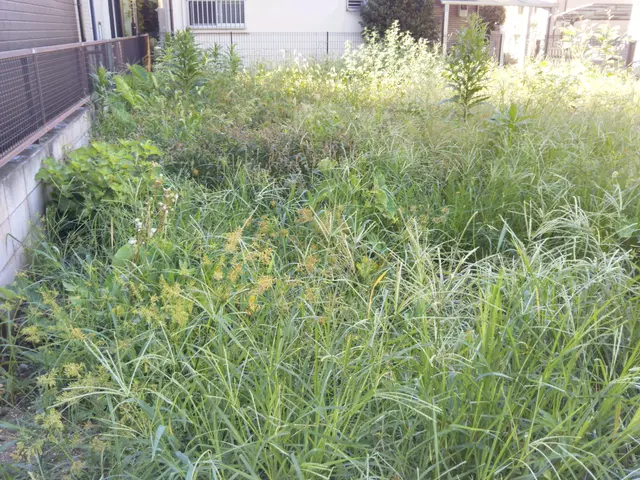 ご予算に応じキレイで丁寧な対応を心掛けています！お気軽にお問い合わせ下さいサービスの画像