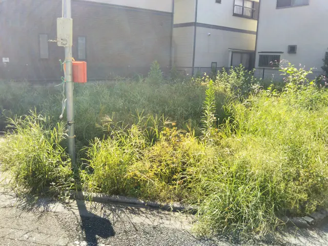 ご予算に応じキレイで丁寧な対応を心掛けています！お気軽にお問い合わせ下さいサービスの画像