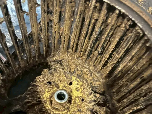 現在コーティングサービスと殺菌作用で汚れにくい環境作りを徹底！サービスの画像