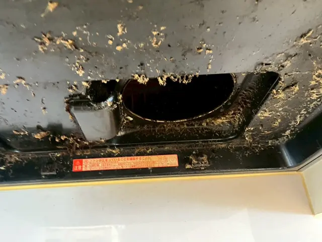 お客様から信頼いただけるよう、一つ一つの作業を迅速丁寧に対応します！サービスの画像