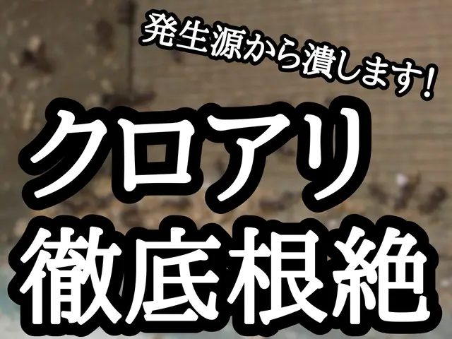 《最短即レス即日対応》納得価格の徹底施工！その他の不快害虫までついでに予防しますサービスの画像