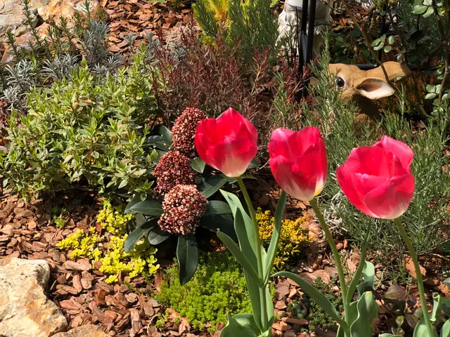 【15年の実績】作業外注一切なし◎すべて自社対応です！サービスの画像