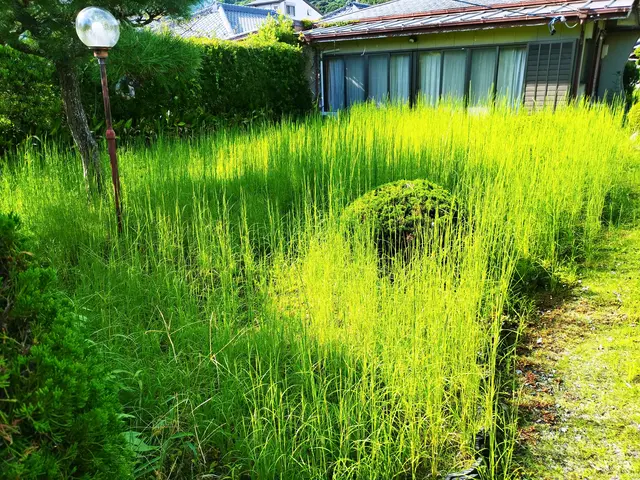 【業歴11年の経験と実績】静岡市発・迅速きれいに仕上げます！お任せくださいサービスの画像